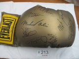 Oversized Everlast Boxing Gloves Assorted Autographs;