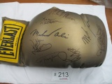 Oversized Everlast Boxing Gloves Assorted Autographs;