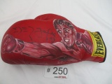 Coe Kitten Hand Painted Boxing Gloves;