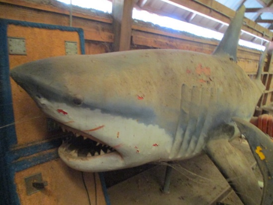 14' Fiberglass Great White Shark on Stand