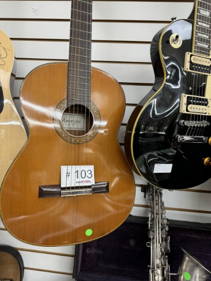 Angelica Acoustic Guitar
