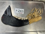 Jaw Bone Hatchet Art