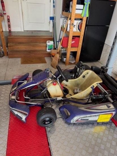 TAG Go-Cart 125cc Engine Purple