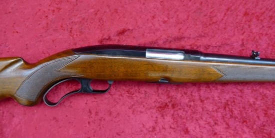 Winchester Model 88 in 243 cal. Rifle