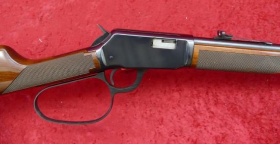 Winchester Model 9422 w/Large Loop