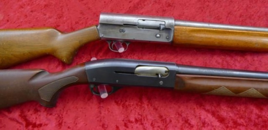 Pair of Semi Auto Shotguns