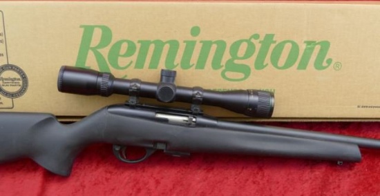 Remington Model 597 17HMR