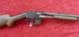 Premier 22 cal Pump Rifle