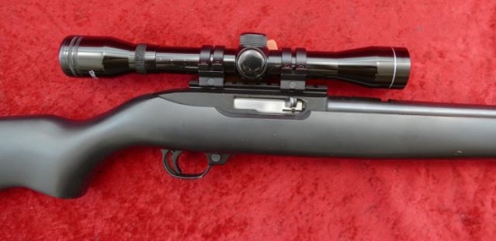 Ruger 10-22 Rifle