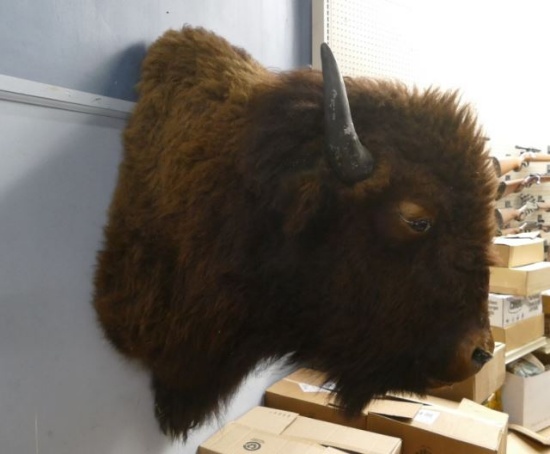 Buffalo Head Mount