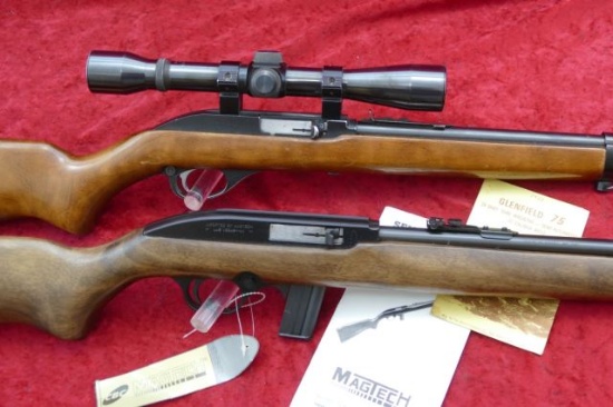 Pair of Semi Auto 22 Rifles