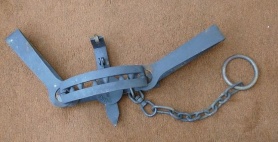 Large Duke Bear Trap