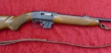 CZ 22 Mag Semi Auto Rifle