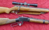 Pair of 22 Rifles