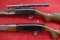 Pair of Semi Auto 22 Rifles