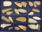 Nice Grouping of Early Arrowheads