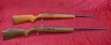Pair of Semi Auto 22 Rifles