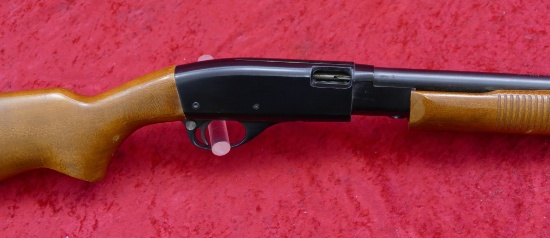 Remington 572 Smooth Bore 22 cal Shot