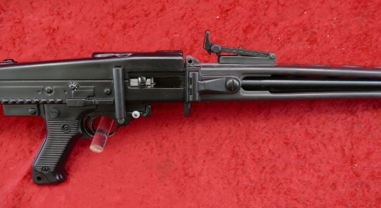Ruger 10-22 Rifle w/MG42 Stock