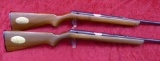 Pair of Daisy VL 22 Presentation Models