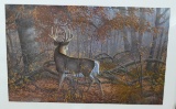 Michael Sieve Survival Series Whitetail prints