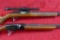 Pair of Semi Auto 22 Rifles