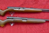 Pair of 22 Automatic Rifles