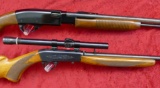 Pair of Modern 22 Rifles