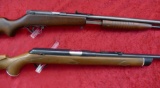 Pair of 22 cal Rifles