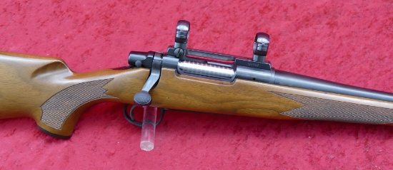 Remington Model Seven 17 REM Rifle