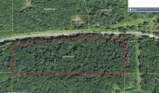 11+ Acres of Hunting Land!