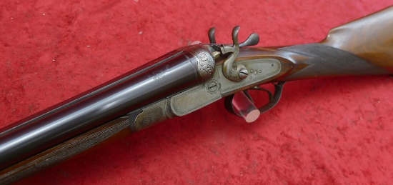 Antique Bernardelli 16 ga Hammer Gun