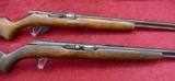 Pair of 22 cal Semi Auto Rifles