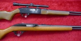 Pair of Semi Automatic 22 Rifles