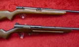 Pair of Semi Automatic 22 Rifles