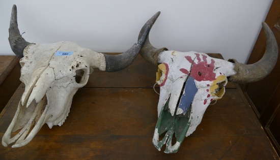 Pair of Buffalo Skulls