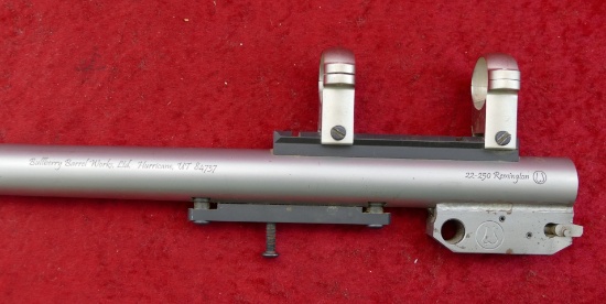 (RM) Custom Bullberry 22-250 TC Encore Rifle Bbl