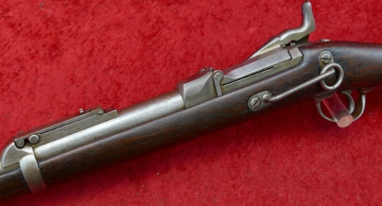 Springfield Trapdoor SRC