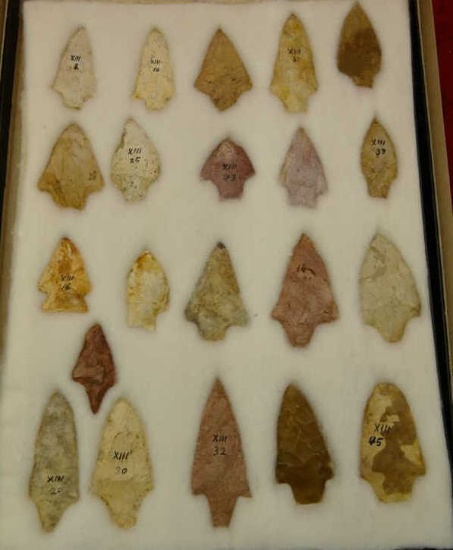 Collection of Arrowheads from Albany, GA