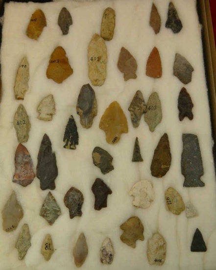 Collection of Arrowheads from Riley County KS