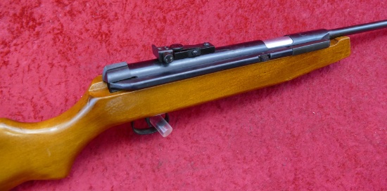 Chinese Pellet Rifle