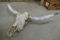 4' Wide Longhorn Skull