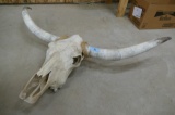 4' Wide Longhorn Skull
