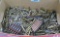 Large Box of Rifle & Pistol Loaded Shells
