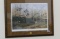 Wood Duck Framed Print