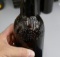 Lot of 10 Effinger Brewery Embossed Beer Bottles