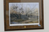Wood Duck Framed Print