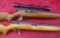 Pair of Semi Auto 22 cal Rifles