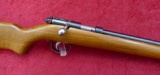 Remington Model 514 Routledge Bore 22 Shot