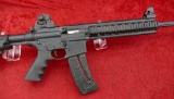 Smith & Wesson M&P15-22 22 cal Rifle (RM)